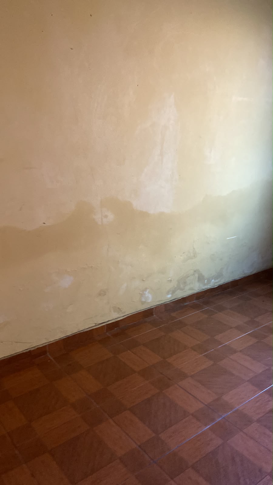 Primeiro quarto